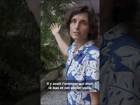 Un parking devenu jardin nourricier