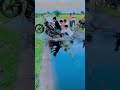 Song Funny Bhojpurimusic Sorts 27M