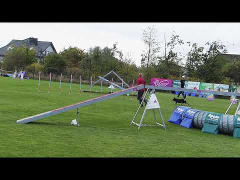 Agility open Warszawa