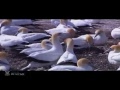 Telugu Latest Movie