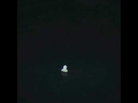 YouTube 썸네일