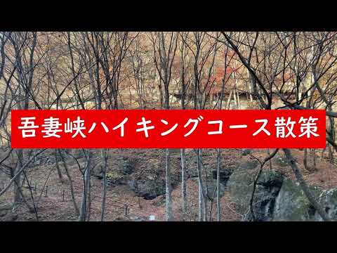吾妻峡ハイキングコース（鹿飛橋～小蓬莱）散策参考資料 12月1日～冬期閉鎖