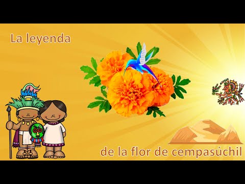 Leyenda: La flor de cempasúchil | Cuenta la leyenda | #Aprendeencasa #Leyendasmexicanas