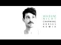 Robert Redweik - Warum nicht (CHARMING HORSES REMIX) official