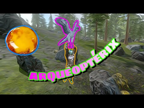 Archapterix: What will you use it for? Pet, collector, or escape ark mobile.