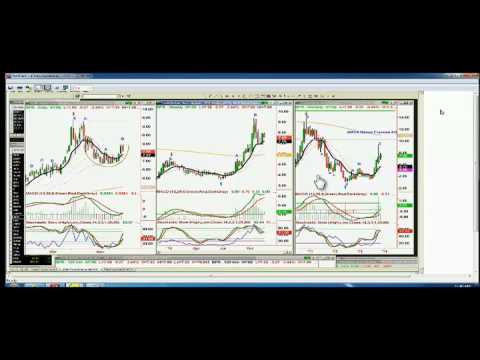 Nov 18th Tiger Technicians Hour with host Basil Chapman on TFNN