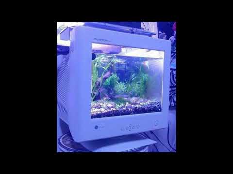 ICYTWAT Computer Mix (528Hz)