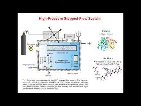 SUPS A3: R. Winter - Biosciences