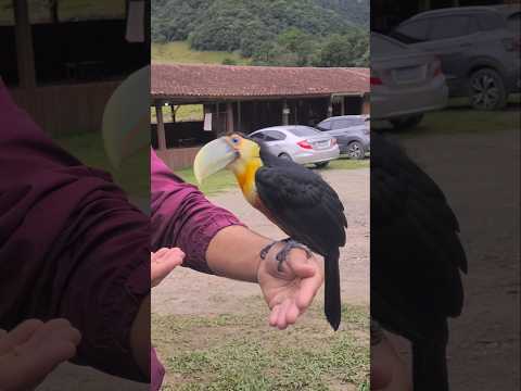 Que experiência legal na pousada das pirâmides em Grão Pará, santa catarina. #graopara