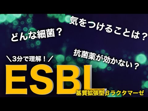 イソブタンの構造式と3D表現