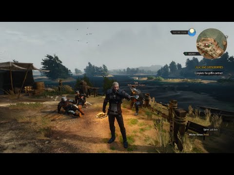 witcher 3 - seeking fight with fucking nilfgaard army