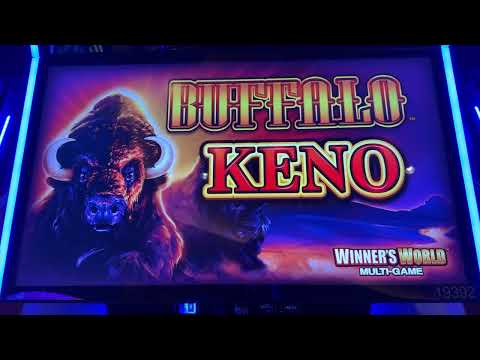 🔴LIVE! A Winter Wonderland of KENO Wins! #12streamsofchristmas