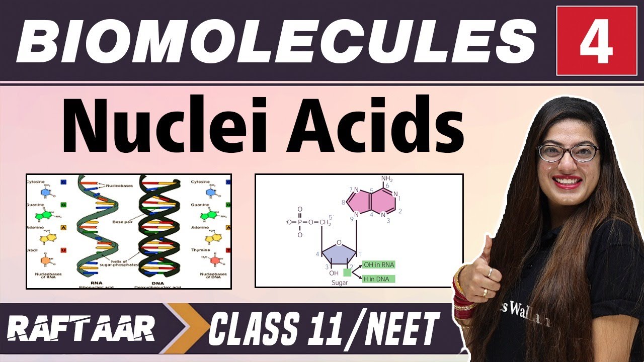 Biomolecules 04 || Nuclei Acids || Class 11/NEET || RAFTAAR