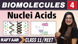 Biomolecules 04 || Nuclei Acids || Class 11/NEET || RAFTAAR