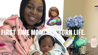 Day In The Life With A Newborn | Mom Vlog