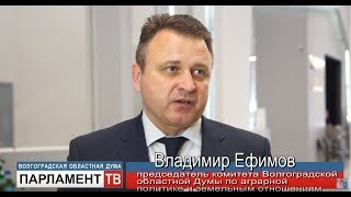 Депутаты Волгоградской областной Думы прокомментировали Послание Президента России (В.Ефимов)