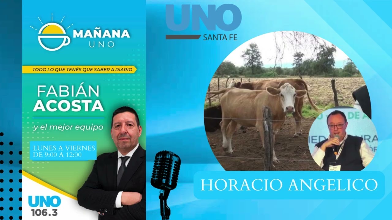 Desde el Senasa dieron a conocer modificaciones en el sistema nacional de vacunación contra la fieble aftosa