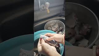 20 October 2025❤️🙏👍# How to clean sea bream? Let's see friends❤️🙏👍#tasty