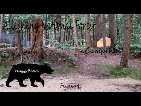 image-Can you fish in Allegheny National Forest?