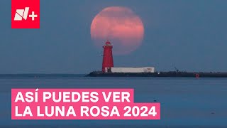Luna Rosa 2024: ¿Cuándo es y dónde verla? - N+