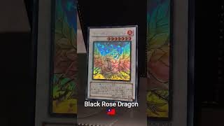 Black Rose Dragon - Ghost Rare #yugioh #edison #edison #yugiohcommunity
