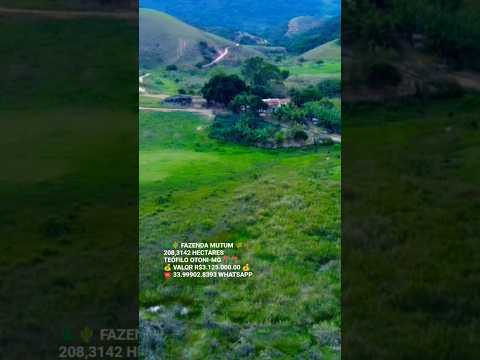 🌲🌵 FAZENDA MUTUM 🌾🌴208,3142 HECTARES TEÓFILO OTONI-MG 📍 📍 💰 VALOR R$3.125.000.00 ☎️ 33.99902.8393