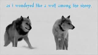 Nargaroth - Amarok zorn des Lammes III