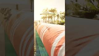 Palm Tree Beach Club Newest Las Vegas Dayclub Experience Coming Summer