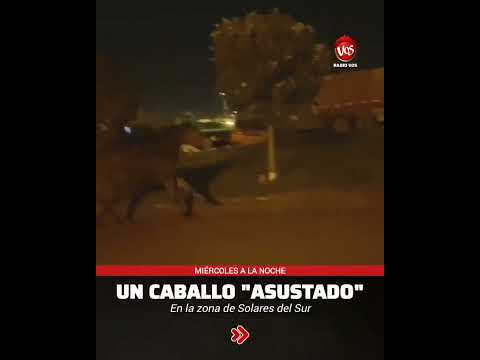 GENERAL DEHEZA: Caballo asustado en una de las calles del Barrio Solares del Sur.