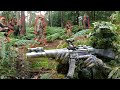 Some Will Say FAKE How Did They Not See This Ghillie Airsofter