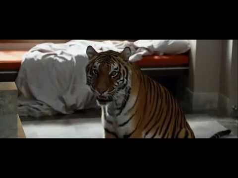 Felekten Bir Gece Türkçe Fragman