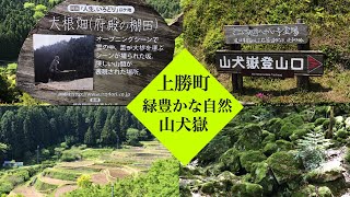 上勝町の自然　府殿の棚田　山犬嶽のコケの名所　月ヶ谷温泉