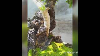 Download lagu serut panorama mp3 Download lagu serut panorama mp3