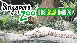 2.5分で回るシンガポール動物園 / Singapore Zoo in 2.5 min