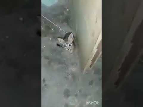 Babies day out 😁😁😂😂