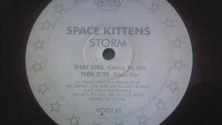 space kittens storm kittens 96 mix