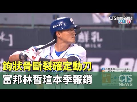 鉤狀骨斷裂確定動刀　富邦林哲瑄本季報銷