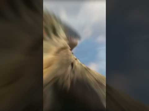 bumpy toro and indominus  rex