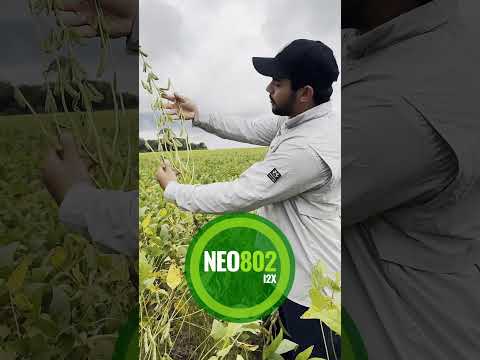 Uma inovação para o Cerrado: NEO802 I2X tá on em Canarana, no estado do Mato Grosso! ⏯️ #shorts