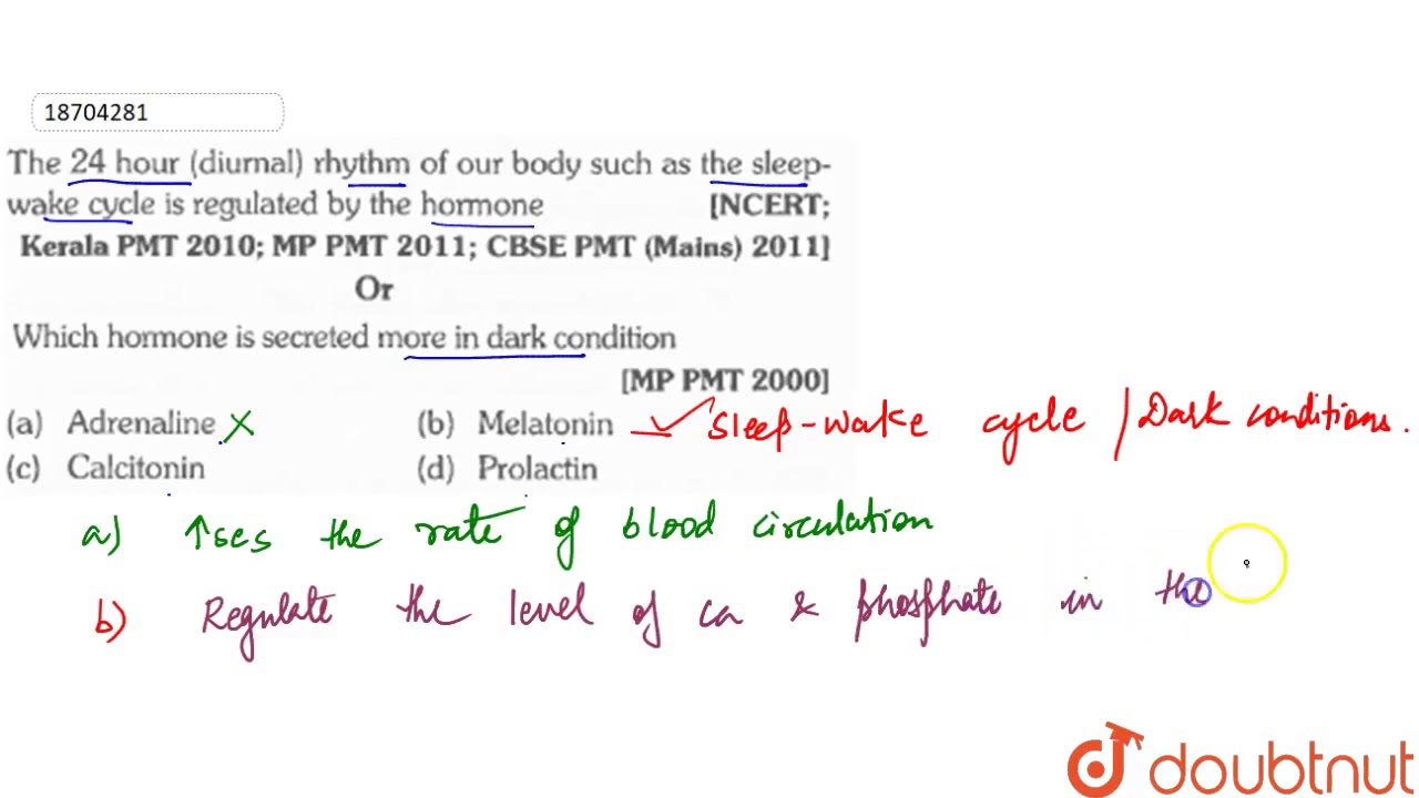 The 24 hour (diurnal) rhythm of our body such as the sleep-wake cycle is regulated by the