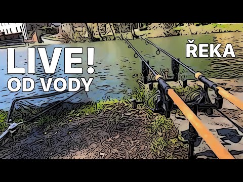 LIVE! OD VODY - Řeka - větrný livestream - 3 hodiny na Orlici - Kapr ne a ne zabrat🥶