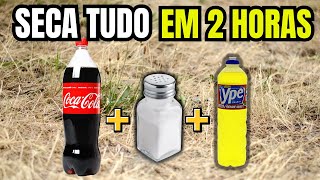 Melhor Mata Mato Caseiro (Seca tudo em 2 horas)