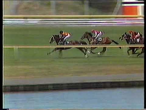 1984 Sandown Cup