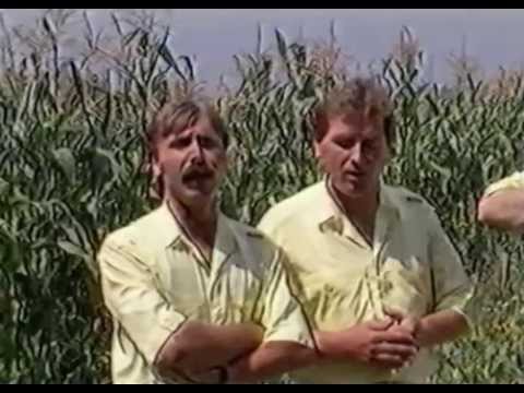 Босански жубор - Уморно ми грло подрхтава