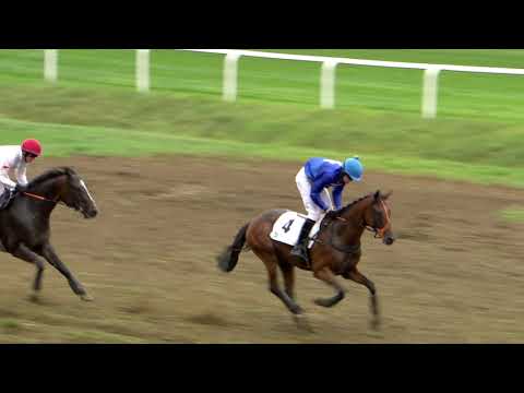 PE, 10. 8. 2019, 7. dostih - Cena podporovaná společností AGROVENKOV o.p.s.