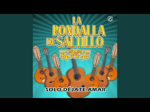 Solo Déjate Amar