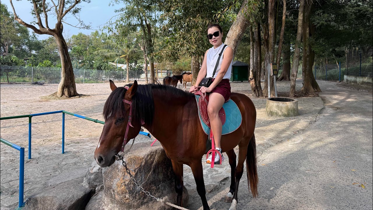 Travelers visit Ho May Park in this video.