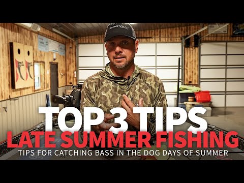 TOP 3 Tips for LATE Summer Bass Fishing ☀️ 🎣