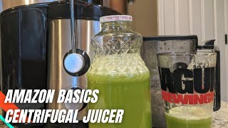 Amazon Basics 2-Speed Centrifugal Juicer with Juice Jug and Pulp Container Testing