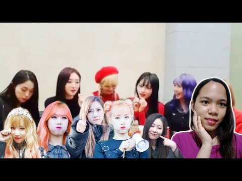 WHEN DREAMCATCHER (드림캐쳐) MISSES HANDONG (한동) | REACTION